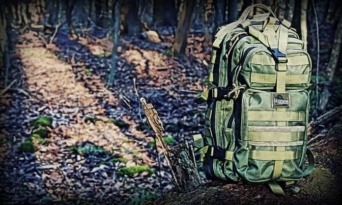 Рюкзак Maxpedition Falcon II - Last Day Club