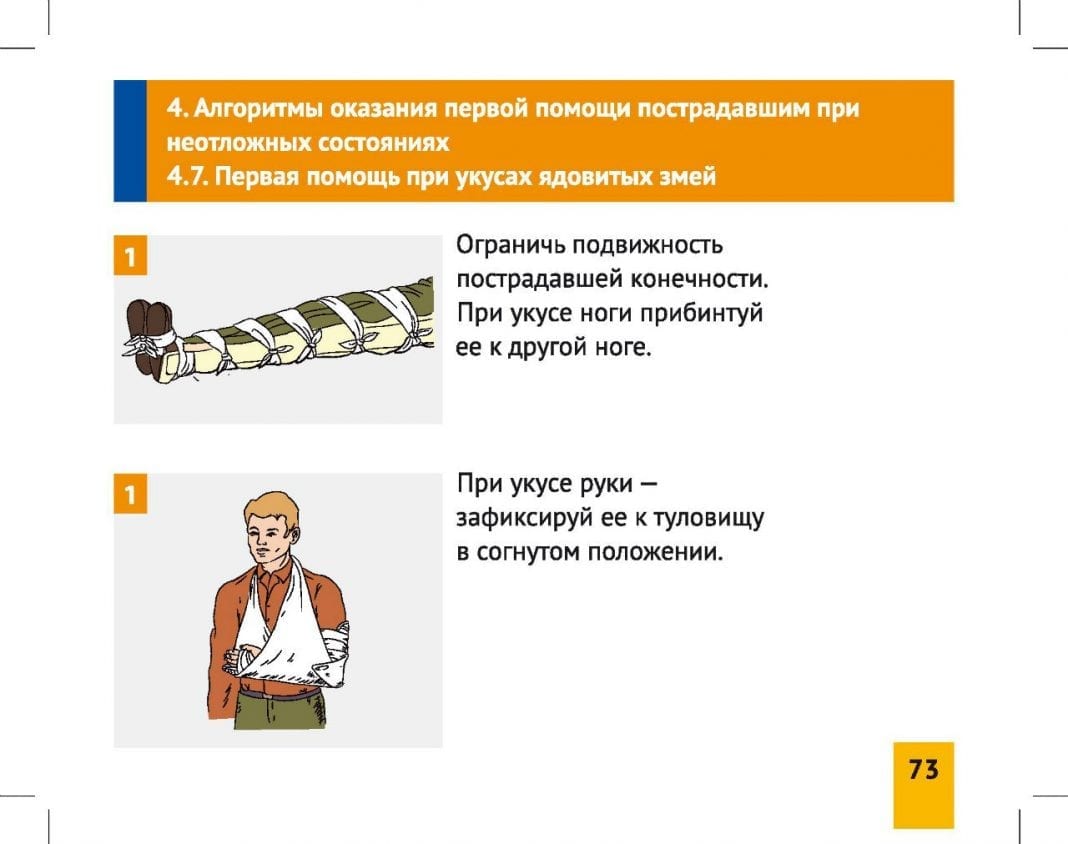 Алгоритм оказания первой доврачебной помощи пострадавшим. алгоритм действий при оказании первой помощи пострадавшему. алгоритм действий при оказании первой медпомощи пострадавшему. алгоритм оказания первой медицинской помощи пострадавшему. Перечислите алгоритм оказания первой помощи. Алгоритм оказания первой доврачебной помощи пострадавшим. алгоритм действий при оказании первой помощи пострадавшему. алгоритм действий при оказании первой медпомощи пострадавшему. алгоритм оказания первой медицинской помощи пострадавшему.