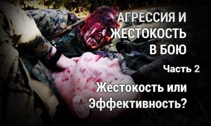 Агрессия и жестокость в бою. Часть 2. Жестокость или эффективность - Last Day Club