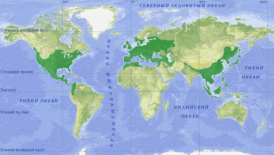 15. Ареал рода дуб - естественные лесные массивы (карта с сайта megabook.ru)
