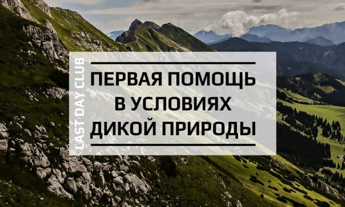 Первая помощь в условиях дикой природы - Wilderness First Aid - Last Day Club