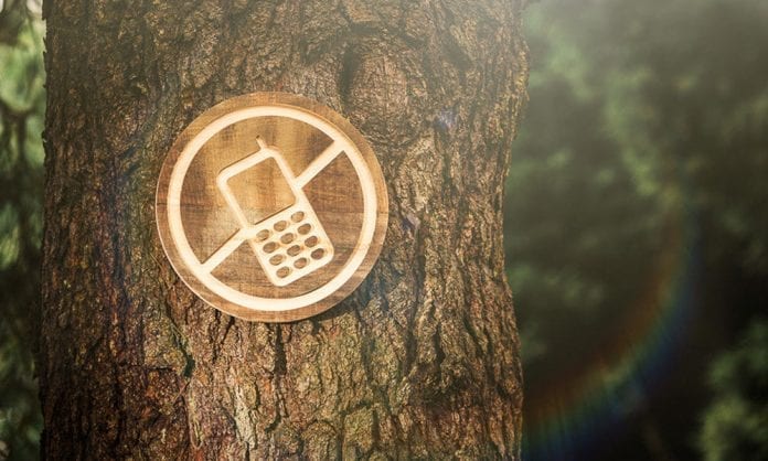 Что такое «Цифровой детокс» (Digital Detox) - Last Day Club