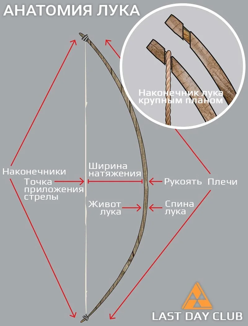 Купите стрелы для лука в Москве в нашем интернет магазине по выгодной цене
