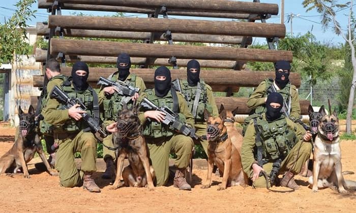 Боевые псы израильского спецназа «Окец» - Last Day Club
