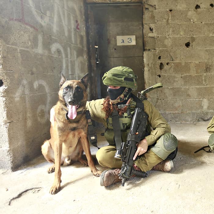 Боевые псы израильского спецназа «Окец» - Last Day Club