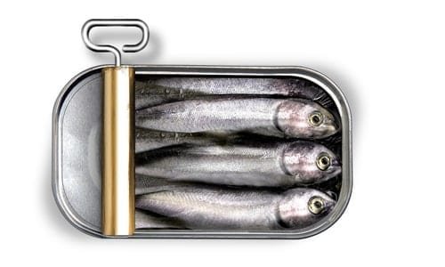 Консервированная рыба - Запас продуктов для чрезвычайной ситуации - 20 «ништяков», которые должны быть в тревожном рюкзаке