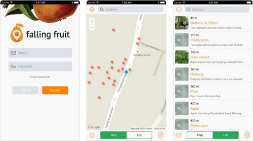 Falling Fruit App - Приложения для выживания для iPhone и Android