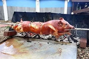 Вертел - Кулинария выживания - 10 примитивных способов приготовления пищи