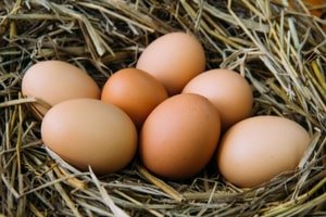 Яйца - Продукты от радиации