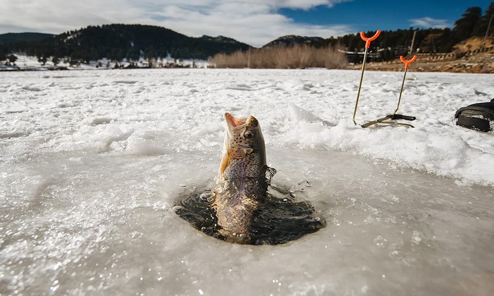 Зимняя рыбалка и выживание - Как поймать рыбу без специального снаряжения